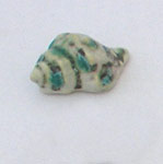  ceramic sea shell bead, caracol ceramico  para colgarse