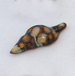 b/w ceramic seashell bead, cuenta de caracol b/n