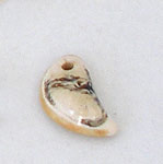 B/W tooth shape ceramic bead, cuenta de diente ceramico b/n